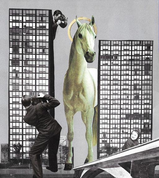 A HORSE, A HORSE... 2017