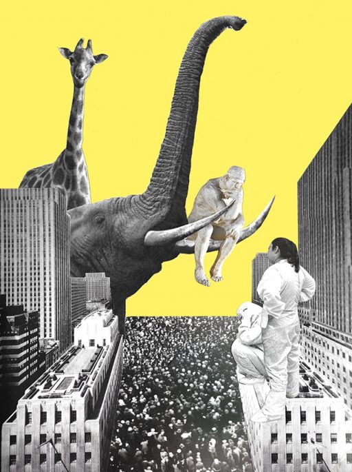 CALL OF THE WILD 2017