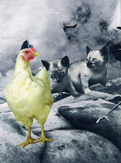 CHICKEN 2017