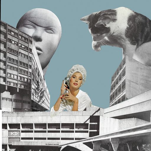 CITY KITTY 2017