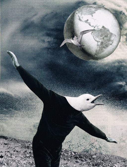 FLIGHT OF ICARUS 2016